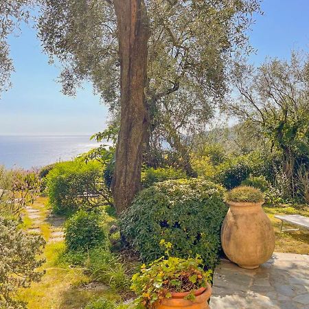L'Uliveto Di Santa Con Piscina Villa Santa Margherita Ligure Exterior photo